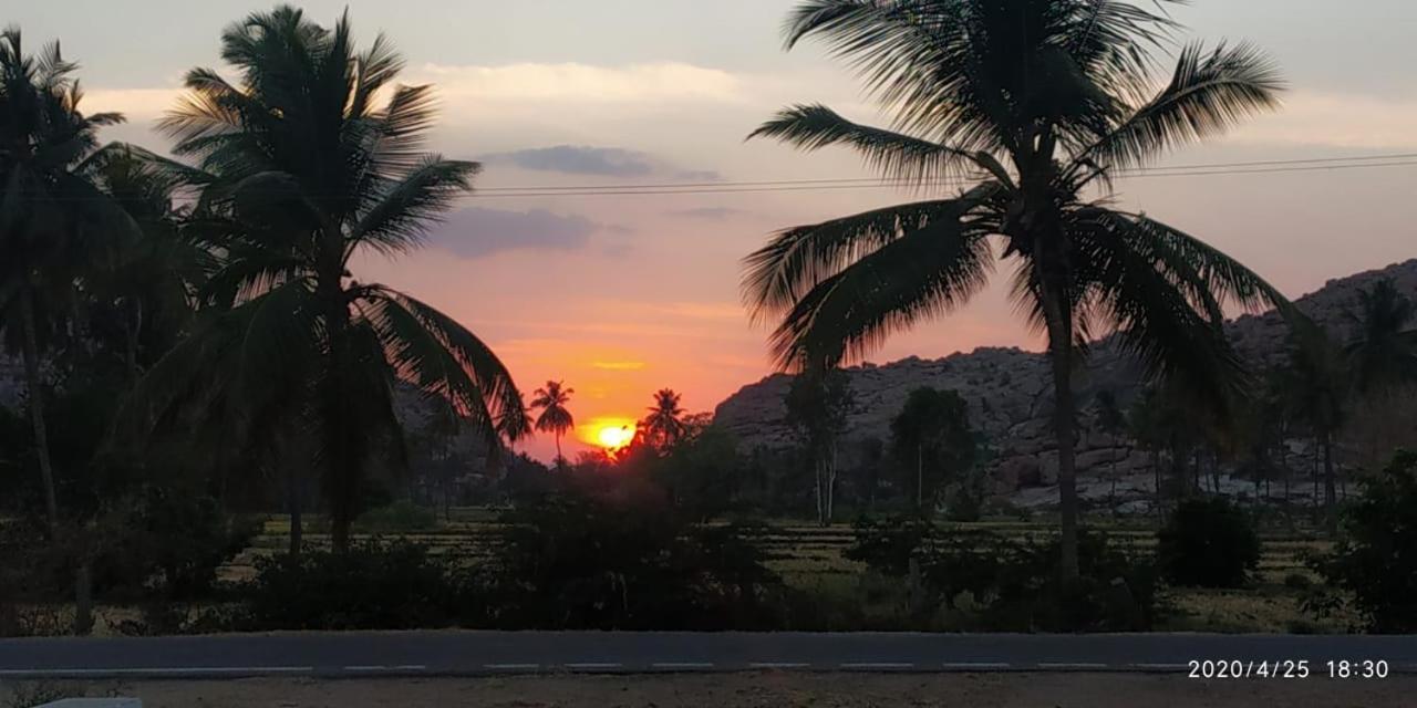 Island Vibes Hampi Guesthouse Εξωτερικό φωτογραφία